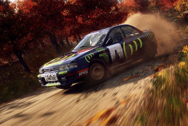 Rally SIM Racing Dirty
