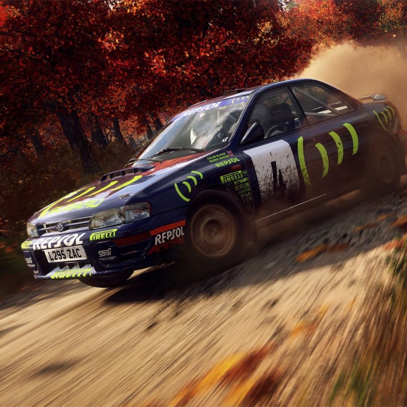 Rally SIM Racing Dirty